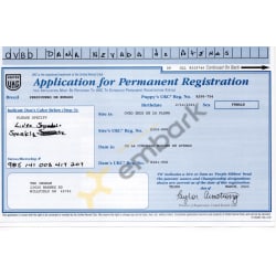 Application (Pup 4 Sale)