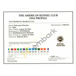 AKC DNA PROFILE