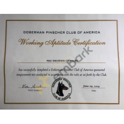Working aptitude certificate 