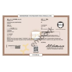 CAER Eyes Certificate Normal
