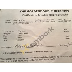 Goldendoodle Registry 