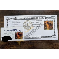 CKC Registration 