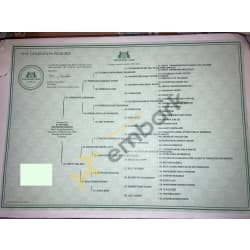 Five Generation Pedigree