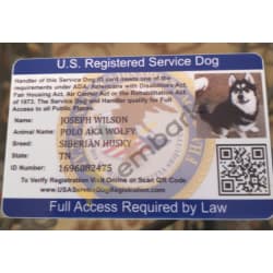 This is Polo's registration card as a service dog, I couldn't add his full breed. 