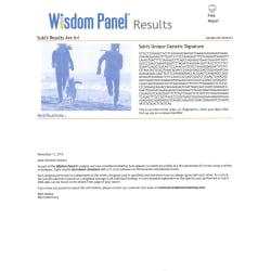 Dam's Wisdom Panel Report