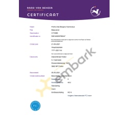 Hip Dysplasia score A Norberg 40 