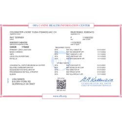 Hemi's CHIC Certificate