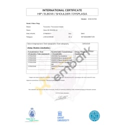 Dysplasia certificate