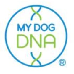 MyDogDNA results also available: https://optimal-selection.com/crm/index.html?fbclid=IwAR1lb9m0FXsczX1iHqWBphO9sOmBlWWXSsnm5shB-RSYqyE66DeLhSQkQMY#os/animals/BR00697/pass/summary