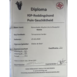 IGP - RH certificate 
