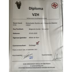 BH / VZH certificate