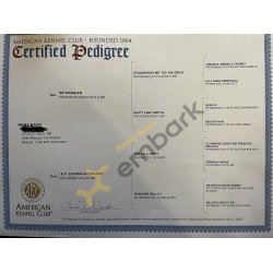 Certified Pedigree 