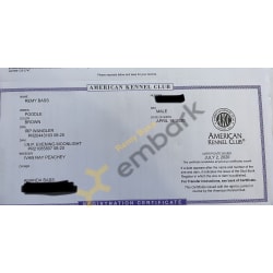 Registration Certificate 