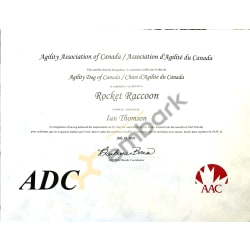 AAC ADC