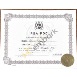 PDC Certificate