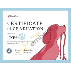 Basic Obedience Training Completion Certificate