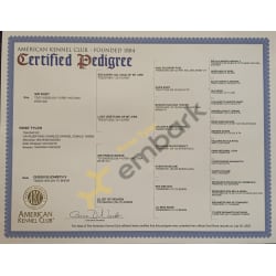 AKC Certified Pedigree