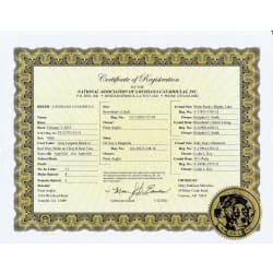 NALC Registration Document
