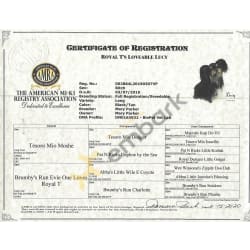 AMRA Registration