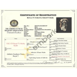 AMRA Certificate of Registration