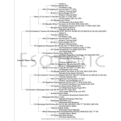 Rune’s Pedigree