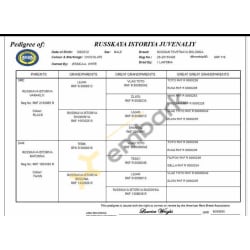 FCI Pedigree