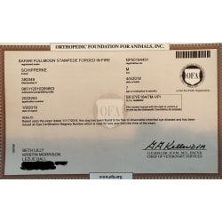 OFA Eye Certification