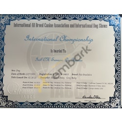 IABCA International Championship