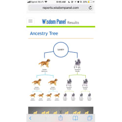 Wisdom Panel ancestry tree