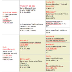 Jackson's Pedigree