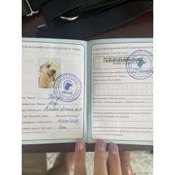 Her passport