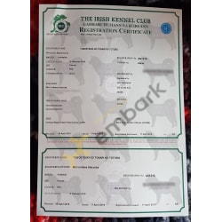 IKC (FCI) certificate for Toboetsuki Go Tonari no Totoro.