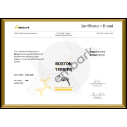 Serana's Breed Certificate