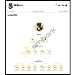Serana's Family Tree