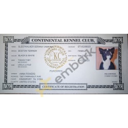 Serana's  DNA certified CKC registration