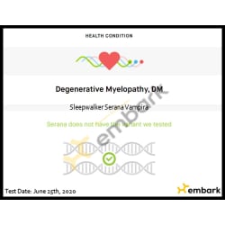 Serana tested Clear for DM - Degenerative Myelopathy