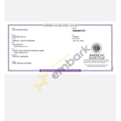 AKC REG CERT