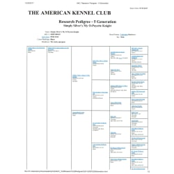 AKC Research Pedigree for Simply Silver's My O-Payette Knight, purebred black silver factored Labrador Retriever. Opie is our only Simply Silver Labradors grandson who still carries dilute, out of our two charcoal (dilute) foundation Labradors Crown Royal Caviar and Texas Tanker II who is the only silver factor survivor within 5 and 6 generations of the 1st two AKC silvers and 3 gens of the 1st charcoals from Beavercreek. Opie is a very English s/f available at stud at www.silverlabs.iwarp.com
