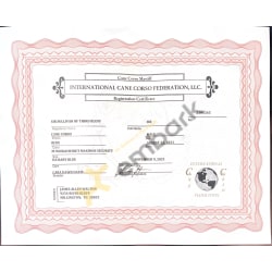 ICCF registration certificate 