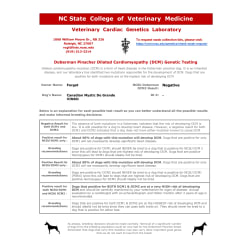 NC State College of Vet. Medicine, DCM2
