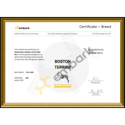 Nyxie's Breed Certificate