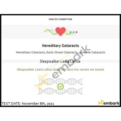 Leela's JHC Juvenile Hereditary Cataracts test ~ CLEAR