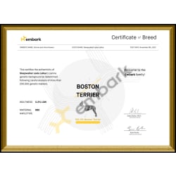 Leela's Breed Certificate