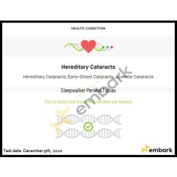 Percy's JHC Juvenile Hereditary Cataracts test ~ CLEAR