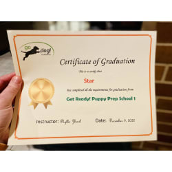Diploma #1