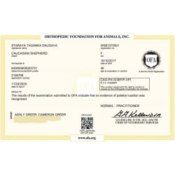 OFA Patella Certificate
