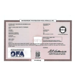 MISSY OFA Eye Certification Registry - NORMAL