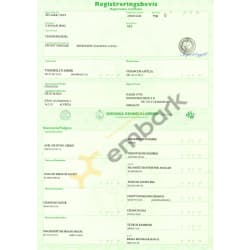 Exportpedigree "Suri" Chancos Suri