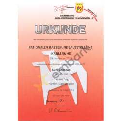 V1 - Excellent 1 - Certificate of NRAS 