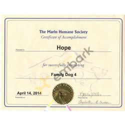 Family Dog 4 training certificate